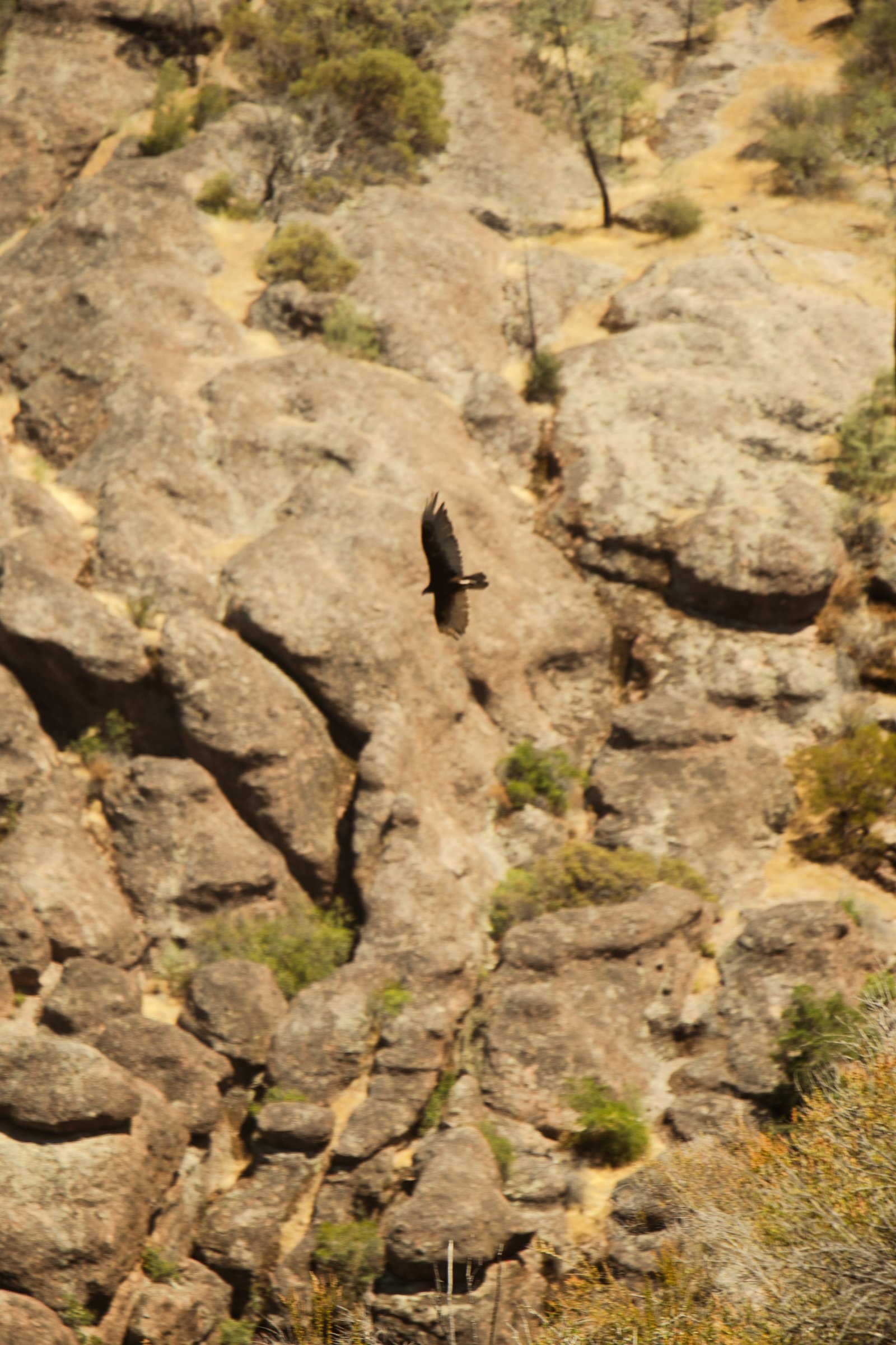 Photo by Harris Campbell